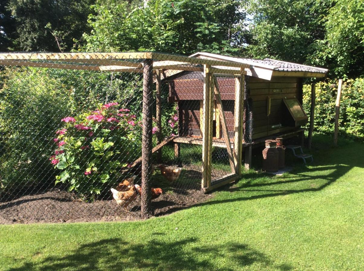 Giethoorn Lodge Екстер'єр фото